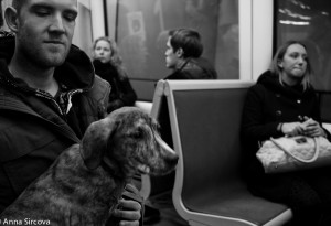 man holding a dog on his lap in Copenhagen metro