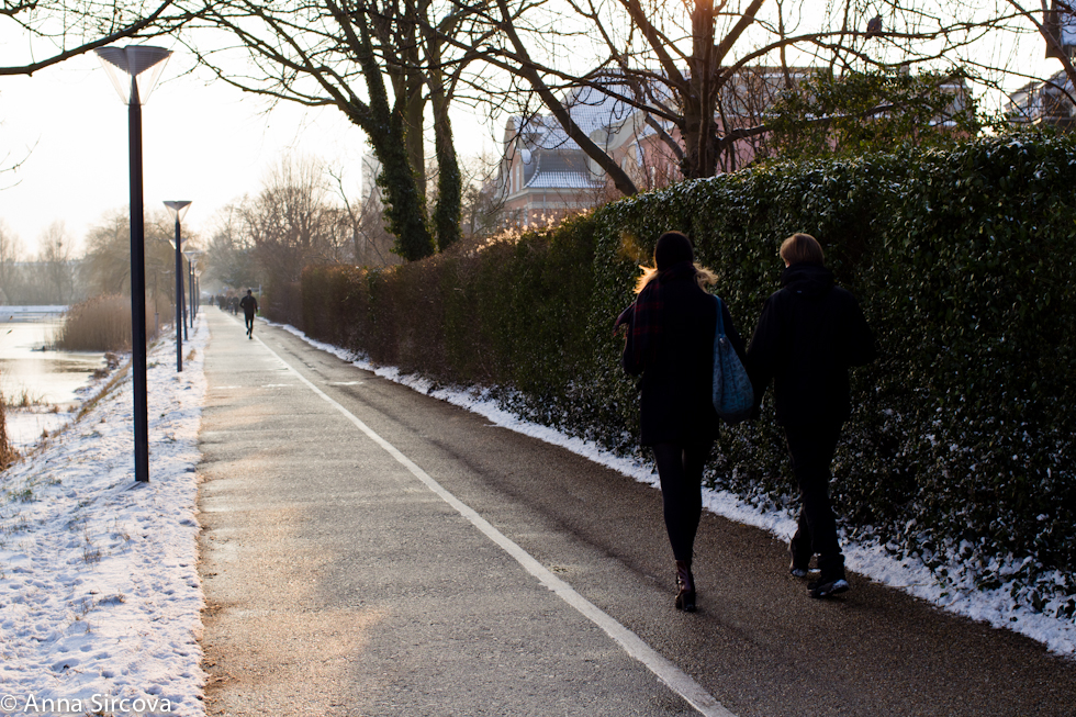 a couple walks hand in hand by the lakes in Copenhagen in the afternoon light