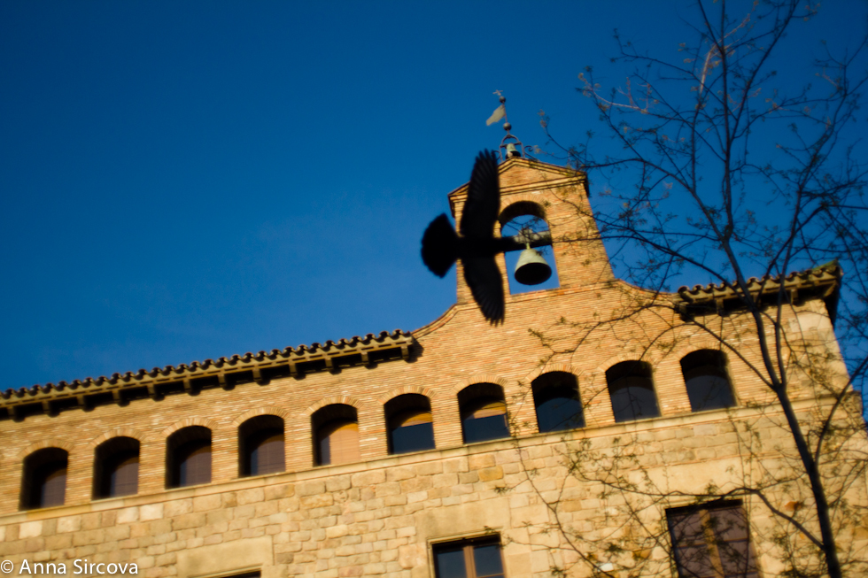 old hospital barcelona barri gotic