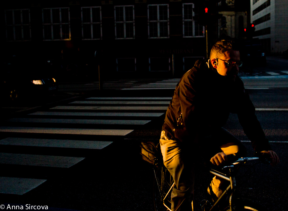 Copenhagen morning bikes crosswalk